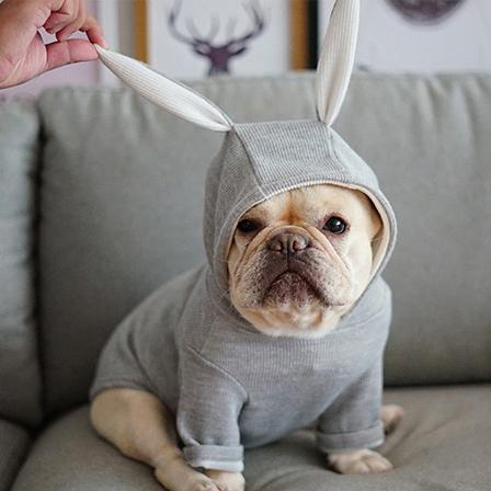 french bulldog rabbit hoodie