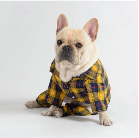 french bulldog pajamas