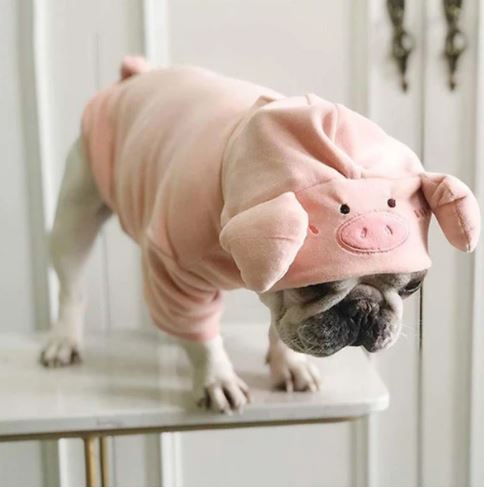 french bulldog plush pig hoodie