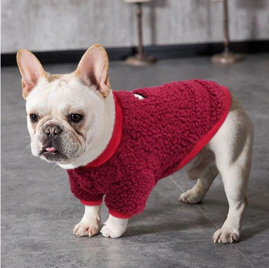 french bulldog sweater