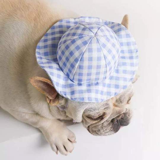 plaid french bulldog summer hat frenchie world shop 28840036401301 540x