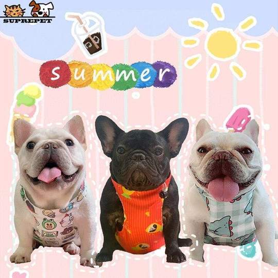 summer adventures french bulldog cooling vest