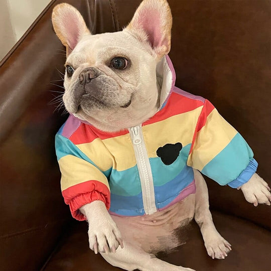 rainbow windbreaker french bulldog jacket frenchie world shop 36711178993922 540x