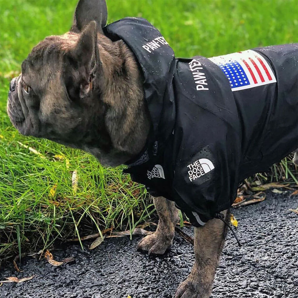 French Bulldog wearing The Dog Face Jacket in black color